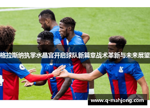 格拉斯纳执掌水晶宫开启球队新篇章战术革新与未来展望 格拉斯纳执掌水晶宫开启球队新篇章战术革新与未来展望