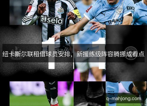 纽卡斯尔联租借球员安排,新援练级阵容腾挪成看点 纽卡斯尔联租借球员安排,新援练级阵容腾挪成看点